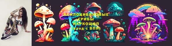 ECSTASY Медвежьегорск