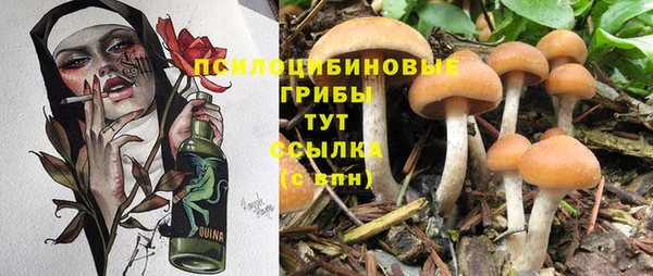 jwh Медногорск