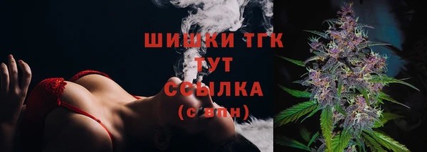 ECSTASY Медвежьегорск