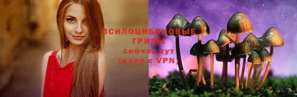 ECSTASY Медвежьегорск