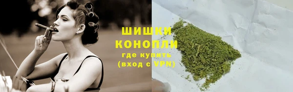 амф Мегион