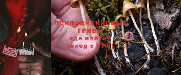 амф Мегион