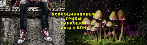 ECSTASY Медвежьегорск