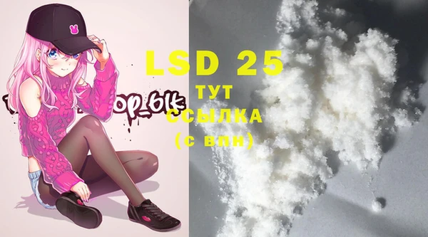ECSTASY Медвежьегорск