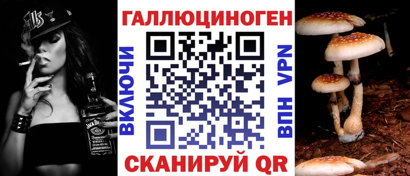 Купить где  Тогучин  Псилоцибиновые грибы MAGIC MUSHROOMS 