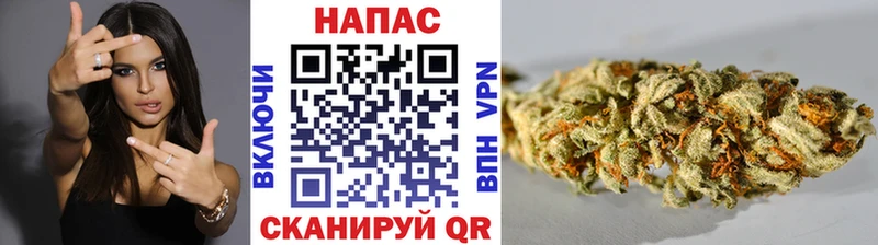Каннабис Amnesia  Купить  Тогучин 